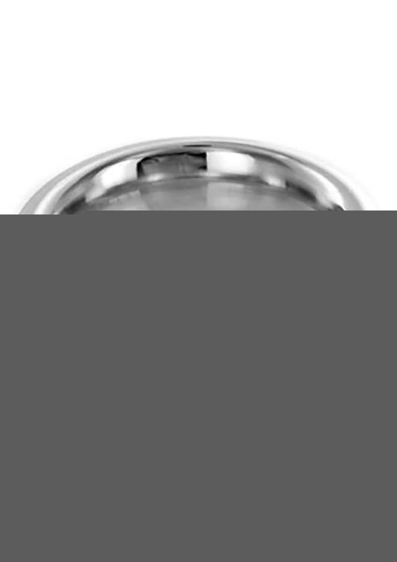 Master Series Stainless Steel Cock Ring