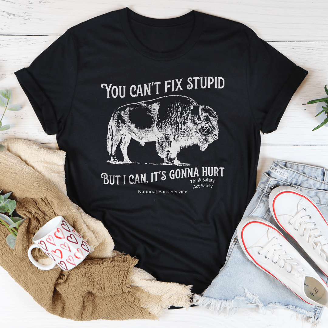 You Can't Fix Stupid But I Can Tee-2